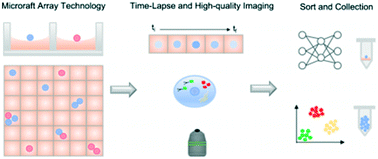 Graphical abstract: A technology of a different sort: microraft arrays