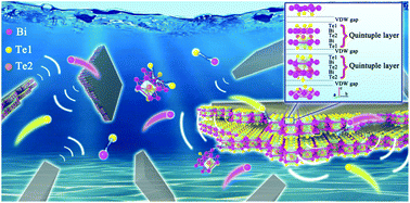 Graphical abstract: Insights into the sodium storage mechanism of Bi2Te3 nanosheets as superior anodes for sodium-ion batteries