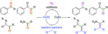 Graphical abstract: Recent advances in the copper-catalyzed aerobic Csp3–H oxidation strategy