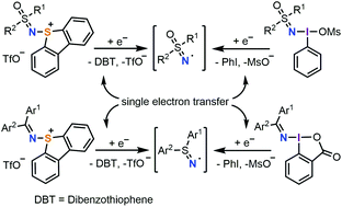 Graphical abstract: 5-(Diarylimino)- and 5-(sulfoximido)dibenzothiophenium triflates: syntheses and applications as electrophilic aminating reagents