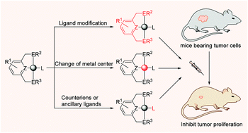 Graphical abstract: Antitumor activity of tridentate pincer and related metal complexes