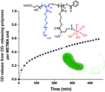 Graphical abstract: Methionine-based carbon monoxide releasing polymer for the prevention of biofilm formation