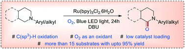 Graphical abstract: α-Oxygenation of N-aryl/alkyl heterocyclic compounds via ruthenium photocatalysis