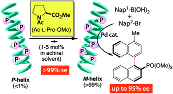 Graphical abstract: Protected amino acids as a nonbonding source of chirality in induction of single-handed screw-sense to helical macromolecular catalysts