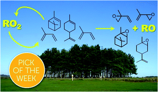 Graphical abstract: Reactions of organic peroxy radicals, RO2, with substituted and biogenic alkenes at room temperature: unsuspected sinks for some RO2 in the atmosphere?