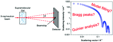 Graphical abstract: Using small angle scattering to understand low molecular weight gels