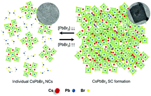 Graphical abstract: Mechanistic studies of CsPbBr3 superstructure formation