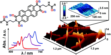 Graphical abstract: Thionated PDI supramolecular polymers: controlling aggregation mechanisms, morphology and function