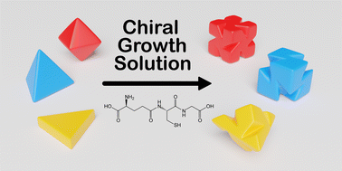 Graphical abstract: Seed-directed synthesis of chiroptically active Au nanocrystals of varied symmetries