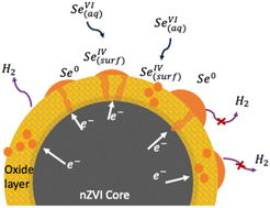 Graphical abstract: Mechanism of galvanic reduction of selenate oxyanions and surface immobilization by nano zero-valent iron aggregates under anaerobic conditions: towards high electron efficiency