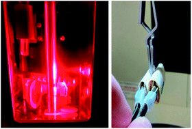 Graphical abstract: Customising the plunge-freezing workflow for challenging conditions