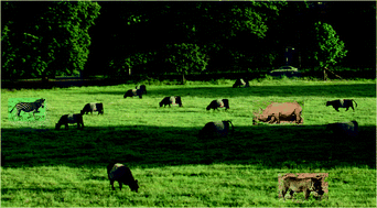 Graphical abstract: Spiers Memorial Lecture: Challenges in cryo electron microscopy