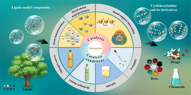 Graphical abstract: Integrated design of an amination process of lignin oxygenated model compounds to synthesize cyclohexylamine: catalyst nanostructure engineering and catalytic conditional strategy