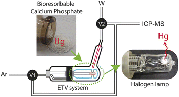 Graphical abstract: Mercury determination in bioresorbable calcium phosphate using a new electrothermal vaporization system coupled to ICP-MS