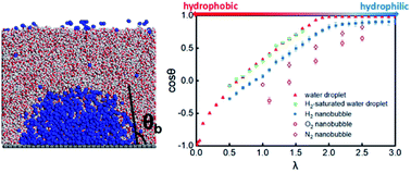 Graphical abstract: Unraveling the effects of gas species and surface wettability on the morphology of interfacial nanobubbles