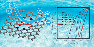 Graphical abstract: Phosphorus-modified cobalt single-atom catalysts loaded on crosslinked carbon nanosheets for efficient alkaline hydrogen evolution reaction