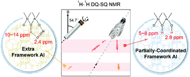 Graphical abstract: Dynamic evolution of Al species in the hydrothermal dealumination process of CHA zeolites