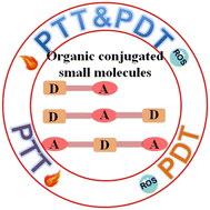 Graphical abstract: Organic conjugated small molecules with donor–acceptor structures: design and application in the phototherapy of tumors