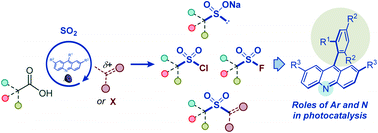 Graphical abstract: Functional group divergence and the structural basis of acridine photocatalysis revealed by direct decarboxysulfonylation