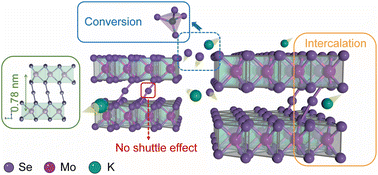 Graphical abstract: Bond modulation of MoSe2+x driving combined intercalation and conversion reactions for high-performance K cathodes