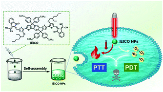 Graphical abstract: Photovoltaic molecules with ultra-high light energy utilization for near-infrared laser triggered synergetic photodynamic and photothermal therapy