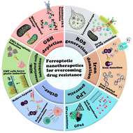 Graphical abstract: Nanotechnology-integrated ferroptosis inducers: a sharp sword against tumor drug resistance