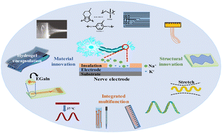 Graphical abstract: Implantable neural electrodes: from preparation optimization to application