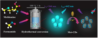 Graphical abstract: The fabrication of N-doped carbon dots by methionine and their utility in sensing Cu2+ in real water