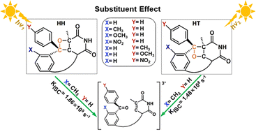 Graphical abstract: Controlling the repair mechanisms of oxetanes through functional group substitution