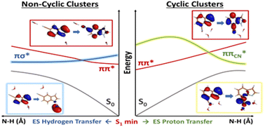 Graphical abstract: Excited state hydrogen or proton transfer pathways in microsolvated n-cyanoindole fluorescent probes