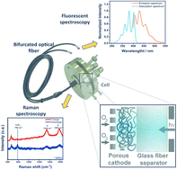 Graphical abstract: Operando detection and suppression of spurious singlet oxygen in Li–O2 batteries