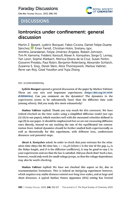 Iontronics under confinement: general discussion