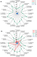 Graphical abstract: Evaluation of green chemistry metrics for sustainable recycling of platinum group metals from spent automotive catalysts via bioleaching