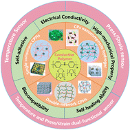 Graphical abstract: Conductive polymer based hydrogels and their application in wearable sensors: a review