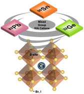 Graphical abstract: All-inorganic perovskite solar cells featuring mixed group IVA cations