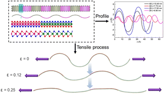 Graphical abstract: Ultraflexible two-dimensional Janus heterostructure superlattice: a novel intrinsic wrinkled structure