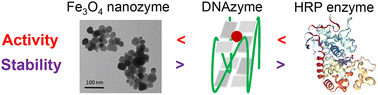 Graphical abstract: Comparison of the peroxidase activities of iron oxide nanozyme with DNAzyme and horseradish peroxidase