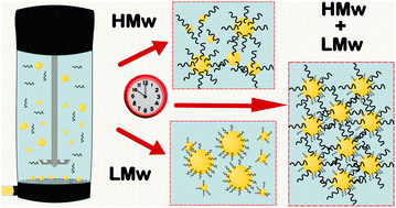 Graphical abstract: Exploring effects of polymeric stabiliser molecular weight and concentration on emulsion production via stirred cell membrane emulsification