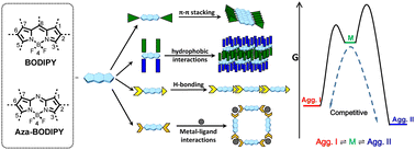 Graphical abstract: Functional supramolecular aggregates based on BODIPY and aza-BODIPY dyes: control over the pathway complexity