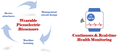 Graphical abstract: Recent development of piezoelectric biosensors for physiological signal detection and machine learning assisted cardiovascular disease diagnosis