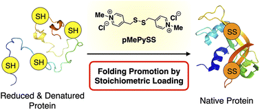 Graphical abstract: Semi-enzymatic acceleration of oxidative protein folding by N-methylated heteroaromatic thiols