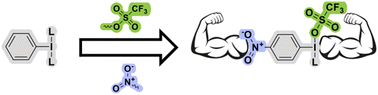 Graphical abstract: A decade of lessons in the activation of ArIL2 species