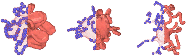 Graphical abstract: Dynamic shapes of floppy vesicles enclosing active Brownian particles with membrane adhesion