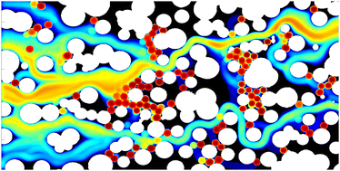 Graphical abstract: Emergence of preferential flow paths and intermittent dynamics in emulsion transport in porous media