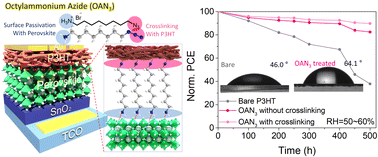 Graphical abstract: A dual functional molecule for perovskite/P3HT interface to achieve stable perovskite solar cells