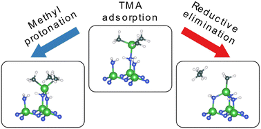 Graphical abstract: Surface chemical mechanisms of trimethyl aluminum in atomic layer deposition of AlN