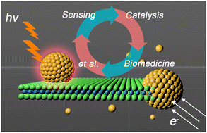 Graphical abstract: Molybdenum disulfide nanostructures coupled with metal plasmonics for improved electronic and photonic performances