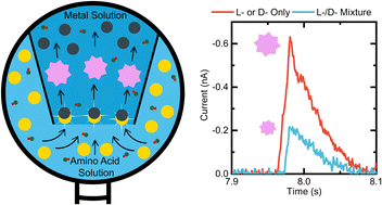 Graphical abstract: Resistive pulse analysis of chiral amino acids utilizing metal–amino acid crystallization differences