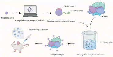 Graphical abstract: Advancements in the preparation technology of small molecule artificial antigens and their specific antibodies: a comprehensive review