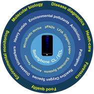 Graphical abstract: Present and future of smartphone-coupled chemiluminescence and electrochemiluminescence assays: a mini-review